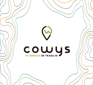 Lee más sobre el artículo Cowys – Tu espacio de trabajo